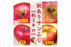 青森りんご サンふじ約3kg＜訳あり・家庭用＞【1379642】