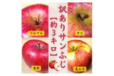 青森りんご サンふじ約3kg＜訳あり・家庭用＞【1379642】