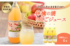 りんごジュース 林檎の滴 1000ml×6本セット【なんぶ農援】 青森りんご 青森県産 果汁100% ジュース フルーツ 青森 県産 南部町 ストレート 生ジュース 1L 1l 林檎 リンゴ アップルジュース 無添加 F21U-006