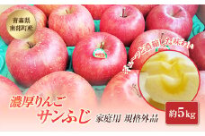 【訳あり】 青森県南部町産 濃厚りんご サンふじ （規格外品） 約5kg 【アグリーデザイン】 青森りんご リンゴ アップル 林檎 青森県 南部町 果物 くだもの フルーツ 家庭用 わけあり ワケアリ 規格外 3kg 以上 F21U-040
