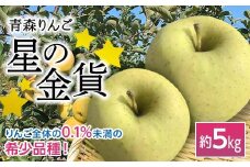 青森りんご 星の金貨 約5kg 【マルス果樹園】 りんご リンゴ 林檎 アップル 果物 くだもの フルーツ あおもり 青森 青森県 南部町 三戸 南部 3kg 以上 F21U-079