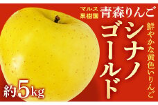 青森りんご シナノゴールド約5kg 【マルス果樹園】 りんご リンゴ 林檎 アップル 果物 くだもの フルーツ あおもり 青森 青森県 南部町 三戸 南部 F21U-086