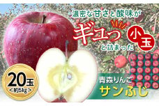 青森りんご サンふじ 約5kg (小玉20玉) 【マルス果樹園】 ふじ りんご リンゴ 林檎 アップル 果物 くだもの フルーツ あおもり 青森 青森県 南部町 三戸 南部 3kg 以上 F21U-101