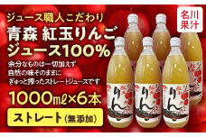 ジュース職人こだわり 青森 紅玉りんごジュース 100%ストレート （無添加） 6本入 【名川果汁】 青森りんご アップル リンゴ 林檎 フルーツ王国 青森県 南部町 ストレート 生ジュース 1L 1l 1000ml 果物 くだもの F21U-135