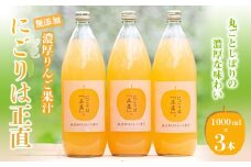 濃厚りんご果汁ジュース 「にごりは正直」 (1000ml×3本) 【NPO法人 青森なんぶの達者村】 無添加 生 フルーツ王国 フルーツ 果物 りんご リンゴ 林檎 アップル りんごジュース リンゴジュース アップルジュース 林檎ジュース 青森 南部町 三戸 南部 1L F21U-017
