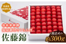 温室栽培さくらんぼ 「佐藤錦」 鏡詰め(300g) 【留長果樹園】 初夏のルビー 贈答 フルーツ王国 フルーツ 南部町 チェリー サクランボ 母の日 青森 F21U-049
