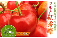 さくらんぼ 「コルト紅秀峰 Lサイズ」 バラ (約500g) ※3～4人分 【川守田観光さくらんぼ園】 フルーツ王国 南部町 サクランボ チェリー 桜桃 果物 くだもの フルーツ 夏果実 高級 贈答 ギフト 産地直送 青森県産 デザート 旬 F21U-159