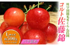 さくらんぼ 「コルト佐藤錦 Lサイズ」 バラ (約500g) ※3～4人分 【川守田観光さくらんぼ園】 フルーツ王国 南部町 サクランボ チェリー 桜桃 果物 くだもの フルーツ 夏果実 高級 贈答 ギフト 産地直送 青森県産 デザート 旬 F21U-163