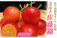 さくらんぼ 「コルト佐藤錦 Lサイズ」 バラ (約1kg) ※6～7人分 【川守田観光さくらんぼ園】 フルーツ王国 南部町 サクランボ チェリー 桜桃 果物 くだもの フルーツ 夏果実 高級 贈答 ギフト 産地直送 青森県産 デザート 旬 F21U-164