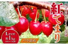 さくらんぼ 「紅てまり Lサイズ」 バラ (約1kg) ※6～7人分 【川守田観光さくらんぼ園】 フルーツ王国 南部町 サクランボ チェリー 桜桃 果物 くだもの フルーツ 夏果実 高級 贈答 ギフト 産地直送 青森県産 デザート 旬 F21U-168
