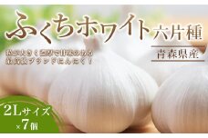 南部町営市場 直送 にんにく「ふくちホワイト六片種」（2Lサイズ×7個） 《カネテ青果》 青森にんにく ニンニク ガーリック バラ 最高級品種 福地ホワイト ふくちホワイト六片種 高級ブランド 日本一 産地  青森 南部 F21U-124