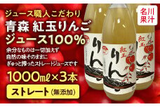 ジュース職人こだわり 青森 紅玉りんごジュース 100%ストレート （無添加） 3本入 【名川果汁】 青森りんご リンゴ 林檎 青森県 南部町 果物 くだもの F21U-203
