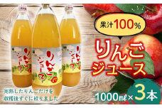 果汁100% りんごジュース (1000ml瓶×３本) 【森の菜園】 フルーツ王国 果物 くだもの フルーツ りんご リンゴ 林檎 アップル リンゴジュース 林檎ジュース アップルジュース 青森県 南部町産 三戸 南部 1L 1l セット F21U-192