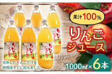 果汁100% りんごジュース (1000ml瓶×６本) 【森の菜園】 フルーツ王国 果物 くだもの フルーツ りんご リンゴ 林檎 アップル リンゴジュース 林檎ジュース アップルジュース 青森県 南部町産 三戸 南部 1L 1l セット F21U-193