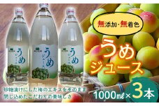 うめジュース (1000ml瓶×３本) 【森の菜園】 フルーツ王国 梅 ウメ うめ うめジュース ウメジュース 梅ジュース 青森 南部町 三戸 南部 1L 1ℓ 豊後梅 セット F21U-196