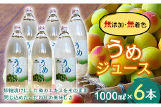 うめジュース (1000ml瓶×６本) 【森の菜園】 フルーツ王国 梅 ウメ うめ うめジュース ウメジュース 梅ジュース 青森 南部町 三戸 南部 1L 1ℓ 豊後梅 セット F21U-197
