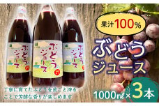 果汁100% ぶどうジュース (1000ml瓶×３本) 【森の菜園】 ブドウ 葡萄 グレープ ブドウジュース 葡萄ジュース フルーツ王国 青森県 南部町産 三戸 南部 1l 1L セット F21U-198