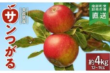 青森県産 りんご 「サンつがる」 約4kg（12～16玉） 【カネテ青果】 南部町営卸売市場 直送 青森りんご リンゴ 林檎 アップル あおもり 青森県 南部町 三戸 果物 くだもの フルーツ 3kg 以上 F21U-210