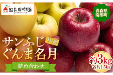 サンふじ・ぐんま名月 詰め合わせ 特選（大玉） 約3kg ［9～10個入］ 【留長果樹園】青森りんご りんご リンゴ 林檎 アップル ふじ ぐんま名月 フルーツ 果物 くだもの 2種 セット あおもり 青森 青森県 南部町 三戸 南部 F21U-051