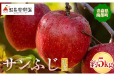 サンふじ 特選（大玉） 約5kg ［14～16個入］ 【留長果樹園】青森りんご りんご リンゴ 林檎 アップル ふじ フルーツ 果物 くだもの あおもり 青森 青森県 南部町 三戸 南部 F21U-214