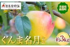 ぐんま名月（中玉） 約3kg ［10～11個入］ 【留長果樹園】 青森りんご りんご リンゴ 林檎 アップル ぐんま名月 フルーツ 果物 くだもの あおもり 青森 青森県 南部町 三戸 南部 F21U-215