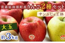 特選 (大玉) 青森産 完熟 りんご 約3kg サンふじ 王林 2種セット 【誠果園】 青森りんご リンゴ 林檎 アップル あおもり 青森 青森県 南部町 三戸 南部 澁川賞受賞 果物 くだもの フルーツ F21U-219