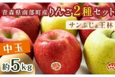 特 （中玉） 青森産 完熟 りんご 約5kg サンふじ 王林 2種セット 【誠果園】 青森りんご リンゴ 林檎 アップル あおもり 青森 青森県 南部町 三戸 南部 澁川賞受賞 果物 くだもの フルーツ 3kg 以上 F21U-222