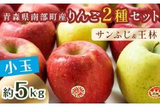 秀 （小玉） 青森産 完熟 りんご 約5kg サンふじ 王林 2種セット 【誠果園】 青森りんご リンゴ 林檎 アップル あおもり 青森 青森県 南部町 三戸 南部 澁川賞受賞 果物 くだもの フルーツ 3kg 以上 F21U-224