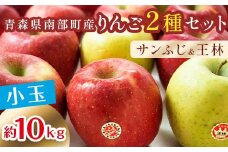 秀 （小玉） 青森産 完熟 りんご 約10kg サンふじ 王林 2種セット 【誠果園】 青森りんご リンゴ 林檎 アップル あおもり 青森 青森県 南部町 三戸 南部 澁川賞受賞 果物 くだもの フルーツ 3kg 5kg 以上 F21U-225