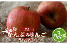 なんぶのりんご サンふじ 特選(大玉) 約3kg(8～10玉) 《馬場果樹園》 青森りんご リンゴ 林檎 アップル あおもり 青森 青森県 南部町 果物 くだもの フルーツ F21U-234
