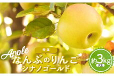 なんぶのりんご シナノゴールド 特選(大玉) 約3kg(8～10玉) 《馬場果樹園》 青森りんご リンゴ 林檎 アップル あおもり 青森 青森県 南部町 果物 くだもの フルーツ F21U-236