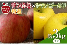 なんぶのりんご サンふじ ＆ シナノゴールド 特選(大玉) 約3kg(8～10玉)セット 《馬場果樹園》 2種セット 青森りんご リンゴ 林檎 アップル あおもり 青森 青森県 南部町 果物 くだもの フルーツ F21U-238