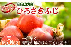青森りんご 早生ふじの代表格 ひろさきふじ 約5kg 【マルス果樹園】 ふじ りんご リンゴ 林檎 アップル 果物 くだもの フルーツ あおもり 青森 青森県 南部町 三戸 南部 3kg 以上 F21U-241