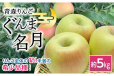 青森りんご ぐんま名月 約5kg（12〜16玉） 【マルス果樹園】 りんご リンゴ 林檎 アップル 果物 くだもの フルーツ あおもり 青森 青森県 南部町 三戸 南部 3kg 以上 F21U-256