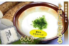 青森県産 長いも　トロトロとろろ　600g(100g×6パック) 【なんぶ農援】便利な小分けパック　無添加 F21U-257
