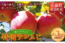 葉とらずりんご 特選サンふじ 約3kg 【四戸農園】 減農薬 有機肥料 青森りんご リンゴ 林檎 アップル あおもり 青森 青森県 南部町 果物 くだもの フルーツ F21U-260