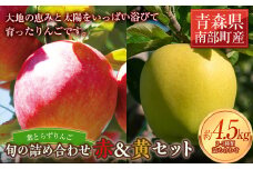 葉とらずりんご 旬の詰め合わせ 赤＆黄セット 約4.5kg 【四戸農園】  減農薬 有機肥料 青森りんご リンゴ 林檎 アップル あおもり 青森 青森県 南部町 果物 くだもの フルーツ 3kg 以上 F21U-265