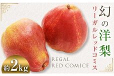 幻の西洋梨 リーガルレッドコミス 約2kg（6～7玉）【泉山果樹園】 洋ナシ なし 青森県 南部町 フルーツ 果物 くだもの 年内発送 F21U-274