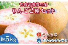 青森県 希少りんご サンふじ＆なかののきらめき 約5kgセット 【泉山果樹園】 青森りんご ふじ なかののきらめき リンゴ 林檎 アップル あおもり 青森 青森県 南部町 三戸 南部 果物 くだもの フルーツ 2種セット 3kg 以上 F21U-276