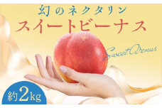 女神の気品 スイートビーナス 約2kg（6～7玉）【泉山果樹園】 桃 もも モモ 油桃 ネクタリン 青森県 南部町 果物 くだもの フルーツ F21U-403