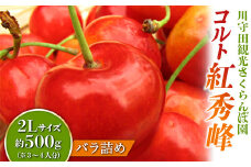 さくらんぼ 「コルト紅秀峰 2Lサイズ」 バラ (約500g) ※3～4人分 【川守田観光さくらんぼ園】 フルーツ王国 南部町 サクランボ チェリー 桜桃 果物 くだもの フルーツ 夏果実 高級 贈答 ギフト 産地直送 青森県産 デザート 旬 F21U-289