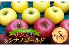 青森りんご サンふじ ・ シナノゴールド 約5kgセット 【マルス果樹園】 2種 セット ふじ シナノゴールド りんご リンゴ 林檎 アップル 果物 くだもの フルーツ あおもり 青森 青森県 南部町 三戸 南部 3kg 以上 F21U-294