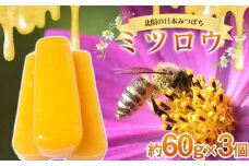 日本みつばち 「ミツロウ」 約60g×3個（約180g） 【西塚農園】 蜜蝋 みつろう ミツバチ 蜂 F21U-299
