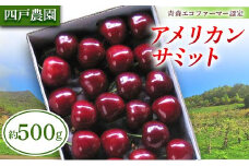 《農家直送》 さくらんぼ 「アメリカンサミット」 バラ詰め 約500g 【四戸農園】青森県エコファーマー認定 F21U-305