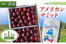 《農家直送》 さくらんぼ 「アメリカンサミット」 バラ詰め 約1kg 【四戸農園】 青森県エコファーマー認定 F21U-306