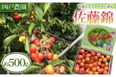 《農家直送》 さくらんぼ 「佐藤錦」 バラ詰め 約500g 【四戸農園】 フルーツ王国 フルーツ 旬 果物 さくらんぼ サクランボ チェリー 青森県 南部町 三戸 南部 F21U-307