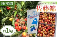 《農家直送》さくらんぼ 「佐藤錦」 バラ詰め 約1kg 【四戸農園】 フルーツ王国 フルーツ 旬 果物 さくらんぼ サクランボ チェリー 青森県 南部町 三戸 南部 F21U-308