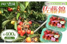 《農家直送》 さくらんぼ「佐藤錦」 バラ詰め 約200g×2パック【四戸農園】 青森県エコファーマー認定 小分け 400g F21U-309