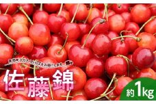 さくらんぼ 佐藤錦 約1kg (バラ詰め) 《西塚農園》 サクランボ チェリー 果物 くだもの フルーツ 夏果実 桜桃 高級 贈答 ギフト F21U-317