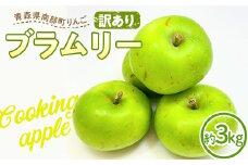 【訳あり】希少品種りんご ブラムリー 約3kg 【四戸農園】 青森県エコファーマー認定 減農薬 有機肥料 青森りんご リンゴ 林檎 アップル あおもり 青森 青森県 南部町 果物 くだもの フルーツ 訳アリ わけあり 家庭用 規格外 F21U-332